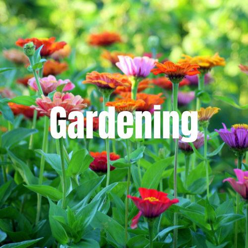 Click here for all your gardening supplies