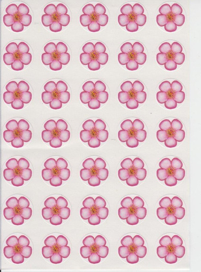 Small Shkedia Flowers Stickers 0.6"  - 1 Sheet