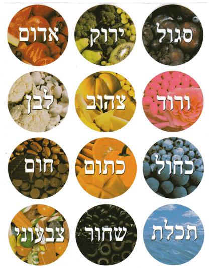 Passover Glitter Fabric Stickers - Great for Classroom: Israel Book Shop