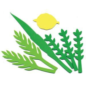 4 HaMinim Foam Shapes