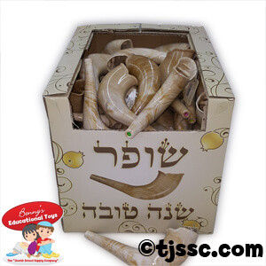 Real Looking Plastic Toy Shofar - with Embeded Noisemaker!