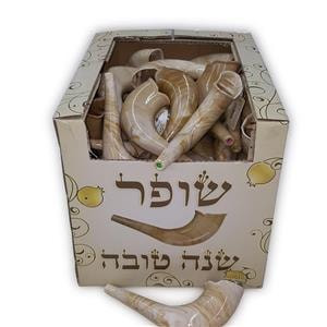 Realistic Plastic Toy Shofar - with Embedded Noisemaker