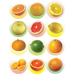 Large Citrus Fruit Stickers