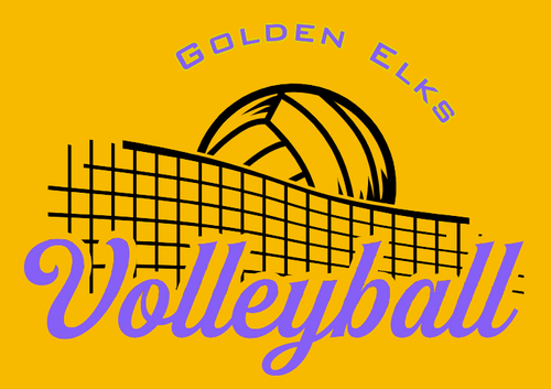 EHS Volleyball - Design #1 Volleyball w/ Net - Unisex Apparel