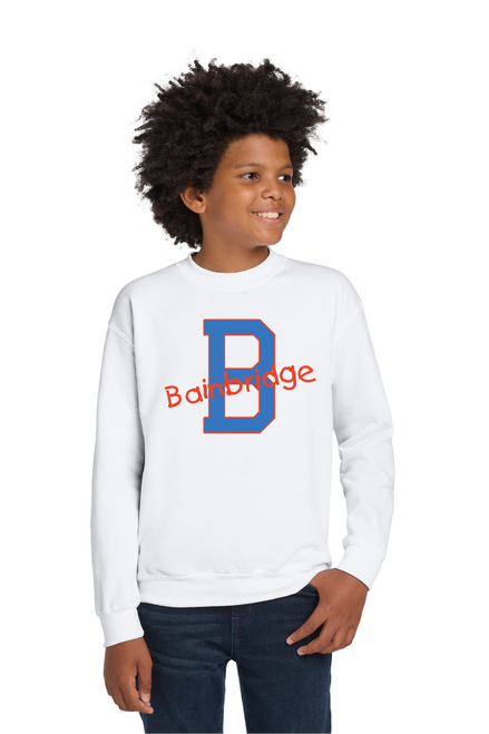 BBES2 - YOUTH Crewneck Sweatshirt Variety