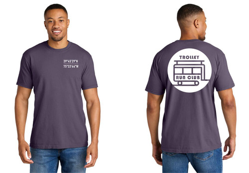 TRC - 1717 - Comfort Colors® Heavyweight Ring Spun Tee - Design Option #2