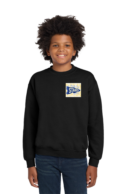 NEES - YOUTH Crewneck Sweatshirt Variety