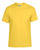 YELLOW (Daisy)
Available in T-shirt, Long Sleeve T-shirt & Hoodie