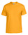 GOLD
Available for all Apparel Options