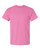 Azalea Pink