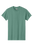 color - aqua (only offered in t-shirt)
