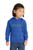SMECC - CAR78TH - Port & Co™ Toddler Core Fleece Pullover Hooded Sweatshirt