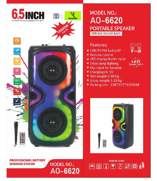 Riggoro speaker AO-6620