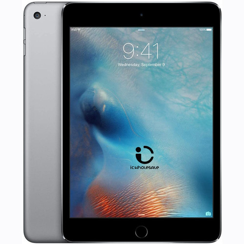 iPad Mini 4 Used