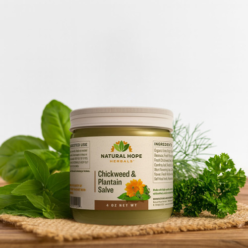 Chickweed & Plantain Salve