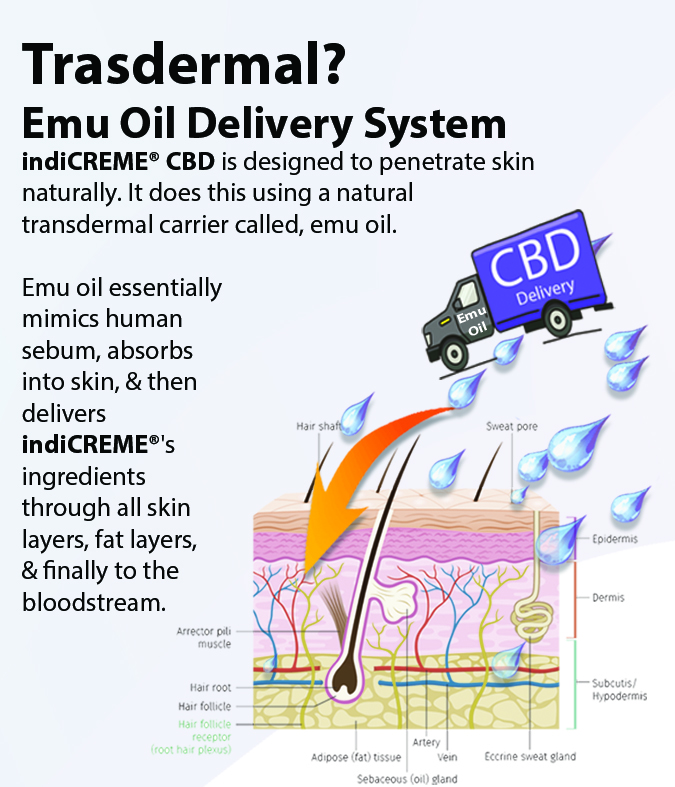 CBD delivery system