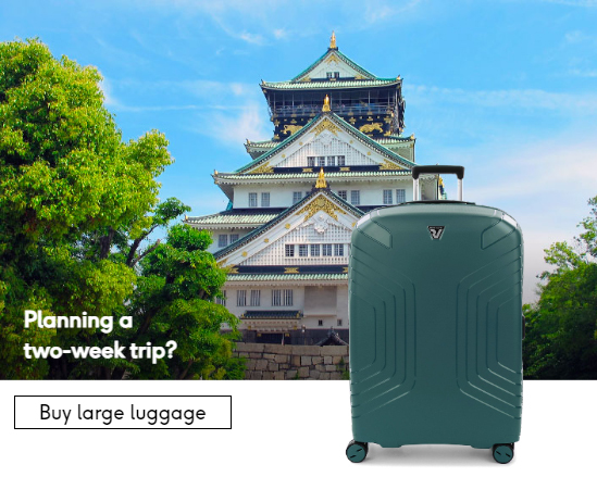Large Luggage