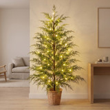 Enchanted Evergreen Tree
