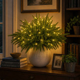 Enchanted Evergreen Pine