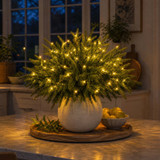 Enchanted Evergreen Pine