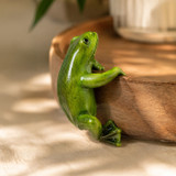 Bloom Buddy Frog