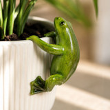 Bloom Buddy Frog