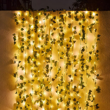Illuminated Ivy Vines