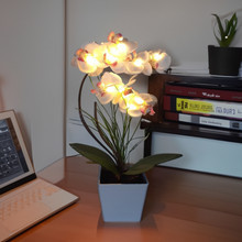 Enchanted Orchid Lamp