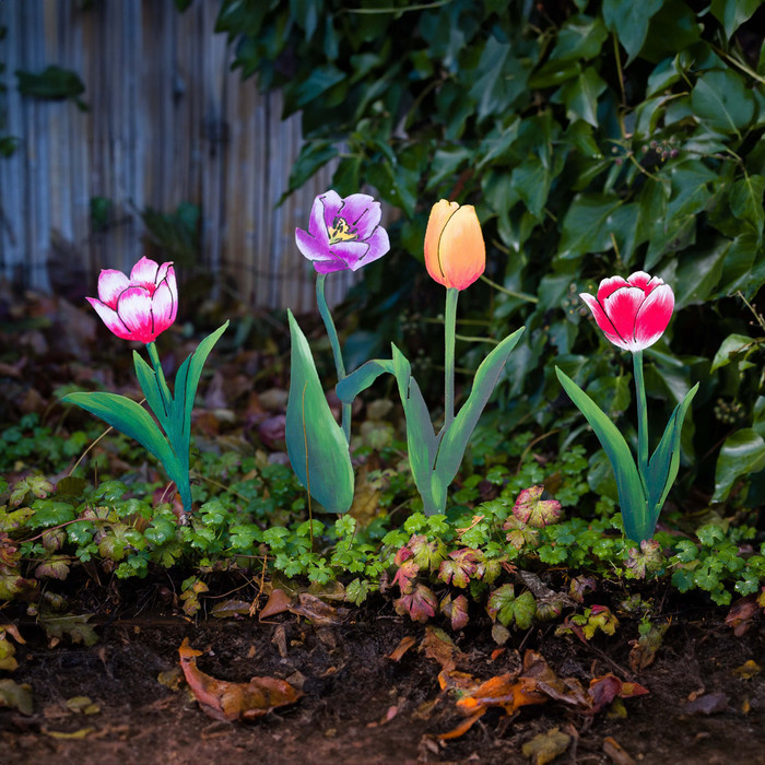 Treasure Tulip Stakes