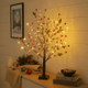 Red Berry Blossom Tree