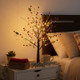 Red Berry Blossom Tree