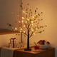 Red Berry Blossom Tree