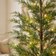Enchanted Evergreen Tree