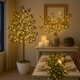 Olive Oasis Tree