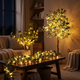Olive Oasis Tree