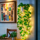Verdant Vine Planter