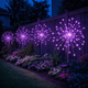 Starlit Starburst Light