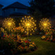 Starlit Starburst Light