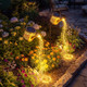 Enchanted Watering Can