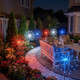 Sparkling Spectacle Light
