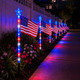 Freedom Flag Light