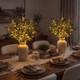 Enchanted Evergreen Olive Branch