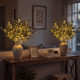 Enchanted Evergreen Olive Branch