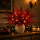 Crimson Candlelight Fern