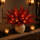 Crimson Candlelight Fern