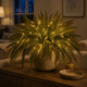 Moonlit Meadow Fern