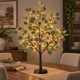Enchanted Eucalyptus Tree