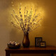 Enchanted Willow Vine