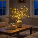 Fairy Light Olive Branch