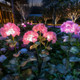 Fairy Hydrangea Lights